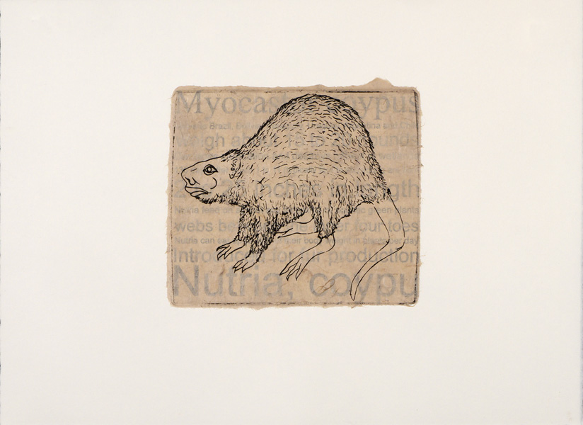 Nutria invasive species print