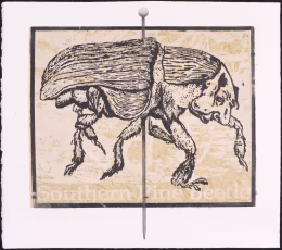 Relief Chine Collet Print, painted pin